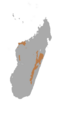Eastern Lesser Bamboo Lemur area