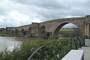 El Puente del Arzobispo Puente 973.jpg