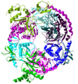 Exosome ribbon
