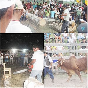 Archivo:GRAN FERIA DE AGACOP