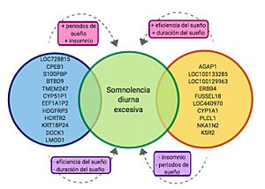 Archivo:Genes asociados a la somnolencia diurna excesiva se agrupan en subtipos biológicos
