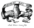 Hirurak Bat