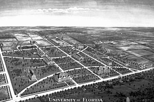 Archivo:Historic Layout University of Florida