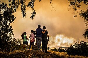 Archivo:Incendios 2017 Cauquenes