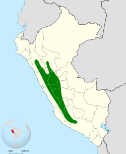 Distribución geográfica del tijeral coronado.