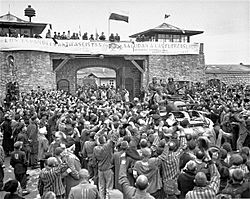 Archivo:Mauthausen survivors cheer the soldiers of the Eleventh Armored Division