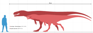 Archivo:Megalosaurus size chart
