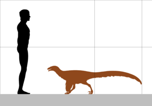 Archivo:Ornitholestes size