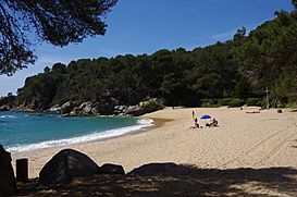 PLATJA-TREUMAL-LLORET-4.JPG