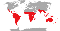 En rojo el área de distribución de todas las especies de psitaciformes.