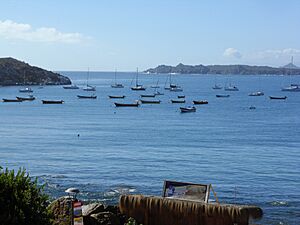 Archivo:Pichidangui. IV región de Coquimbo.