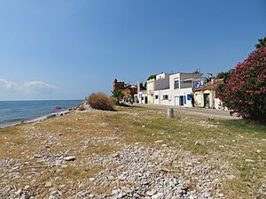 Archivo:Playa del Renc de Capicorb (Alcalá de Xivert- Alcossebre)