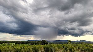 Archivo:Precipitaciones y núcleo de lluvia sobre el Valle del Cuña Pirú, municipio de Ruiz de Montoya, Provincia de Misiones, Argentina