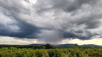 Archivo:Precipitaciones y núcleo de lluvia sobre el Valle del Cuña Pirú, municipio de Ruiz de Montoya, Provincia de Misiones, Argentina