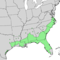 Quercus laurifolia range map 1