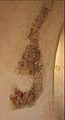 Resto pintura mural