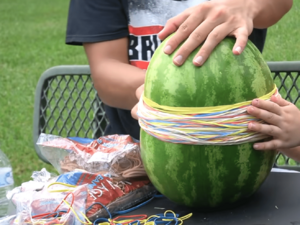 Archivo:Rubber bands wrapped around a watermelon