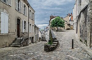 Archivo:Rue des Papegaults and Petit Degres Saint-Louis in Blois