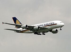 Archivo:SIA Airbus A380, 9V-SKA, SIN 3 resized