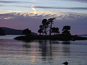Archivo:SanJuanIslandAtNight