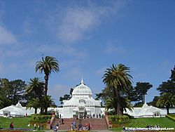 Archivo:San Francisco Conservatory of Flowers 2