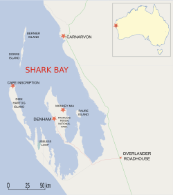 Archivo:Shark Bay