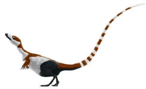 Archivo:Sinosauropteryx mmartyniuk solosml