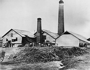 Archivo:StateLibQld 1 13930 Pioneer Sugar Mill at Mackay, 1880s