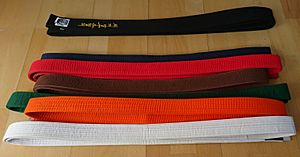 Archivo:Tang Soo Do Belts