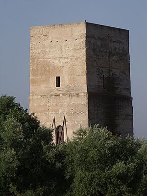 Archivo:Torre de Don Lucas, La Victoria (Córdoba) 04