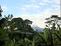 View of the Mawenzi Mt. Kilimanjaro