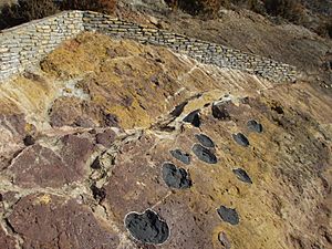 Archivo:Yacimiento Icnitas de Aren