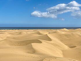 Aerial view of the dunes and beach of Maspalomas, Canary Islands (52757630746).jpg