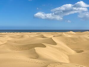 Archivo:Aerial view of the dunes and beach of Maspalomas, Canary Islands (52757630746)