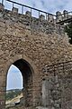 Bejar - 041 (31408549995)