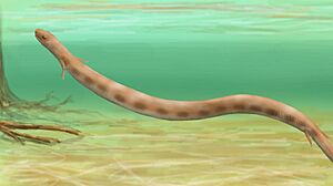 Archivo:Brachydectes