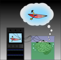 Brain in a vat