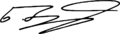 Burjanadze signature (vect)