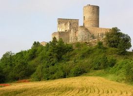 Castell de Boixadors 1 (Sant Pere Sallavinera, Anoia).jpg