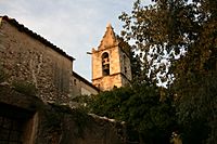 Castell de Palol - campanar 2