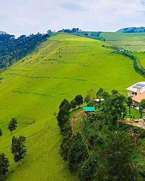 Archivo:Colines de kivu