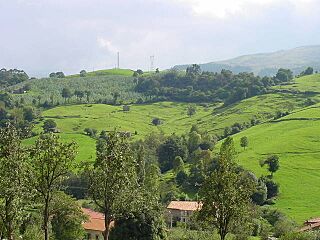 Escobedo Monte Caballar.jpg