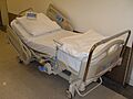 Hospital Bed 2011