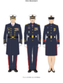 Infantería de marina gala A