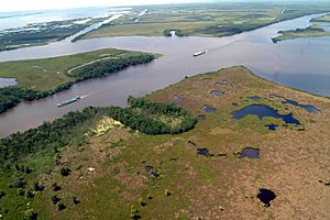 Archivo:Intracoastal Waterway Louisiana