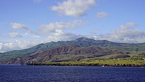 Archivo:Isla Socorro