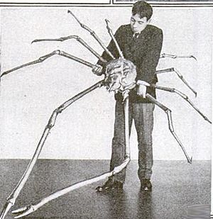 Archivo:Japanese spider crab