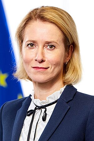 Archivo:Kallas portrait 2024 (cropped)