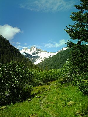 Archivo:Mt. Anderson From East Fork Quinault Valley