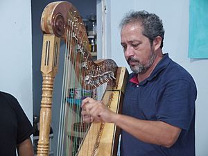 Archivo:Octavio Vega tocando el Arpa